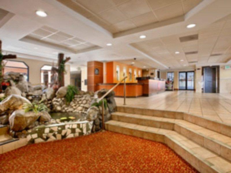 Hotel The Live
