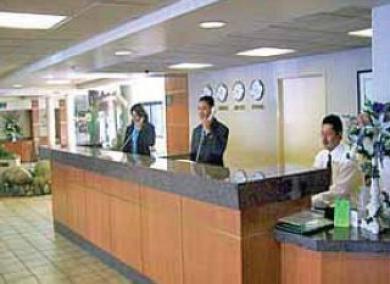 Hotel The Live